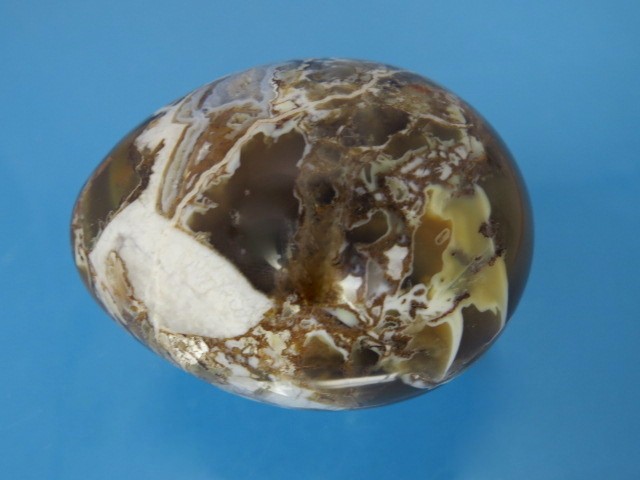 brekcja * jajko, jajo