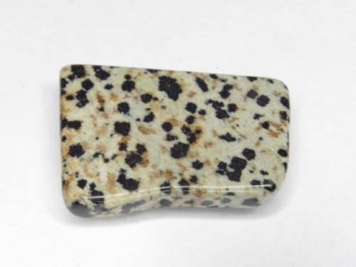 Magnes - jaspis dalmatyńczyk 