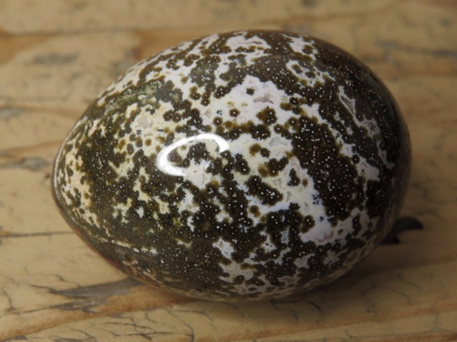 jaspis orbikularny * jajo, jajko