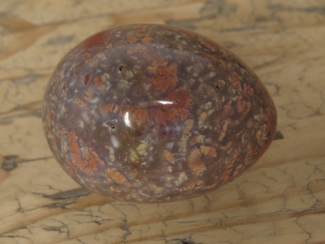 chalcedon * jajo, jajko