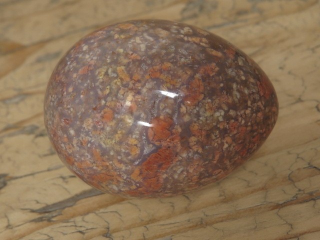 chalcedon * jajo, jajko