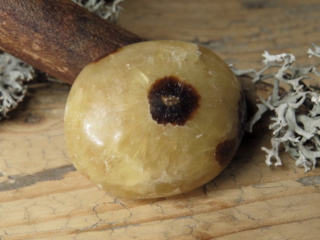 septaria * Madagaskar