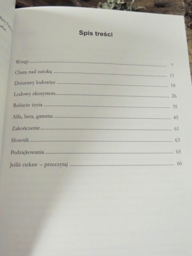 Nauka dla ciekawych. SEKRETNE ŻYCIE LODOWCÓW