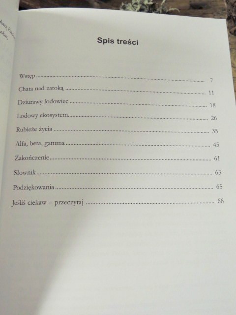 Nauka dla ciekawych. SEKRETNE ŻYCIE LODOWCÓW