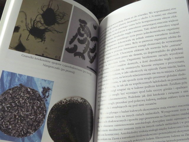 Nauka dla ciekawych. SEKRETNE ŻYCIE LODOWCÓW