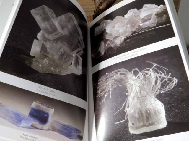 Nauka dla ciekawych. KOPALNIA SOLI WIELICZKA OD DZIŚ DO MIOCENU