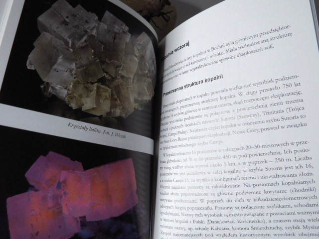 Nauka dla ciekawych. W GŁĄB SOLI I CZASU W KOPALNI SOLI BOCHNIA