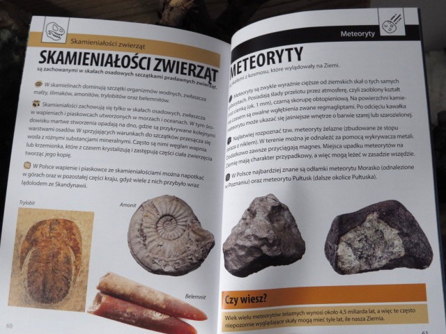 Jaki to kamień? Mój pierwszy przewodnik