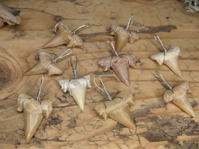 ząb rekina wisior * amulet odwagi i bogactwa