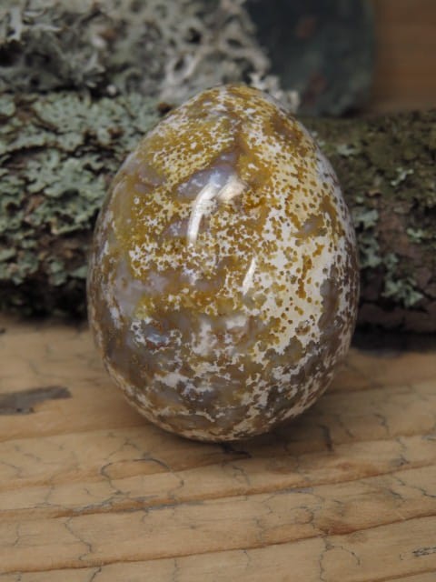 jaspis orbikularny * jajo, jajko