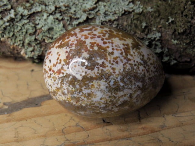 jaspis orbikularny * jajo, jajko