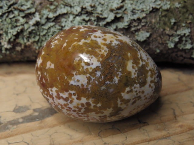 jaspis orbikularny * jajo, jajko