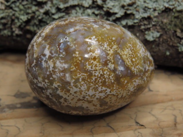 jaspis orbikularny * jajo, jajko