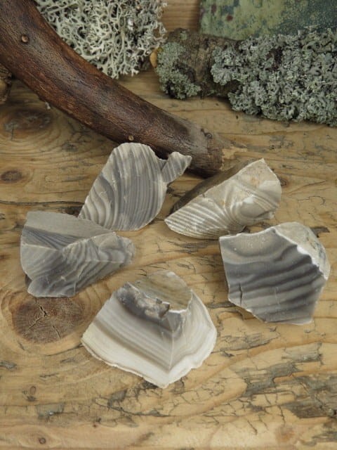 krzemień pasiasty * Polska