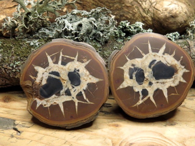 septaria para * sferosyderyt * syderyt ilasty * Maroko