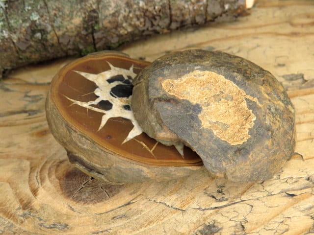 septaria para * sferosyderyt * syderyt ilasty * Maroko