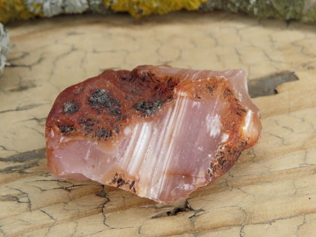 karneol * Brazylia