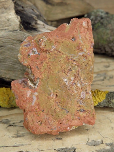 jaspis * Suszyna Polska