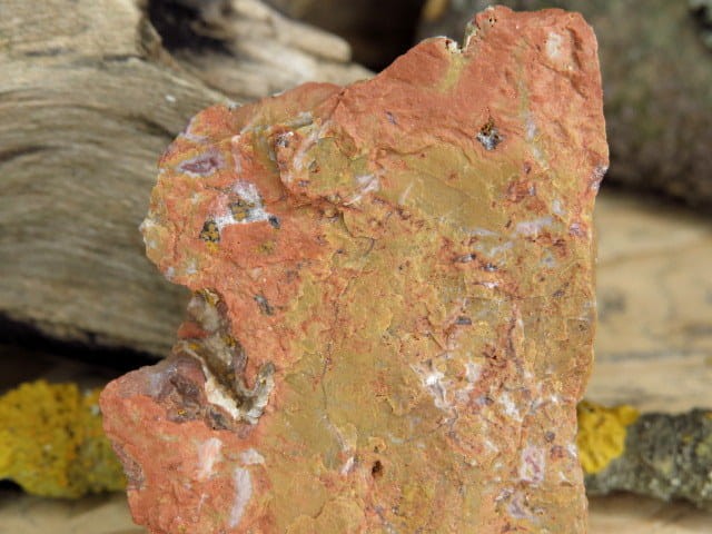 jaspis * Suszyna Polska