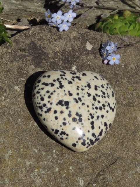 jaspis dalmatyńczyk serce - serduszko z jaspisu