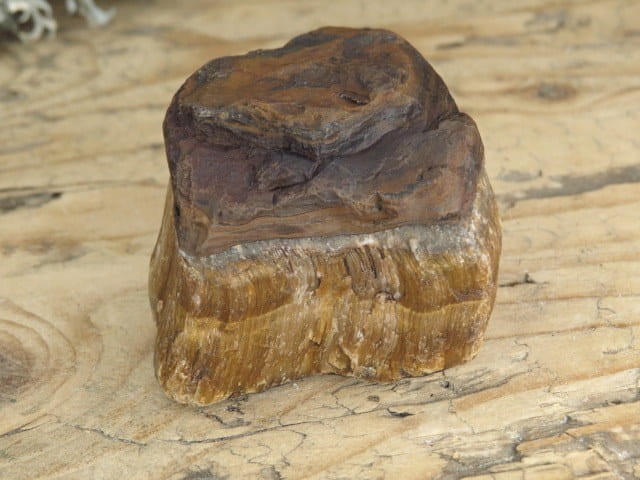 tygrysie oko * RPA