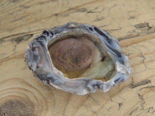 agat z geodą Brazylia