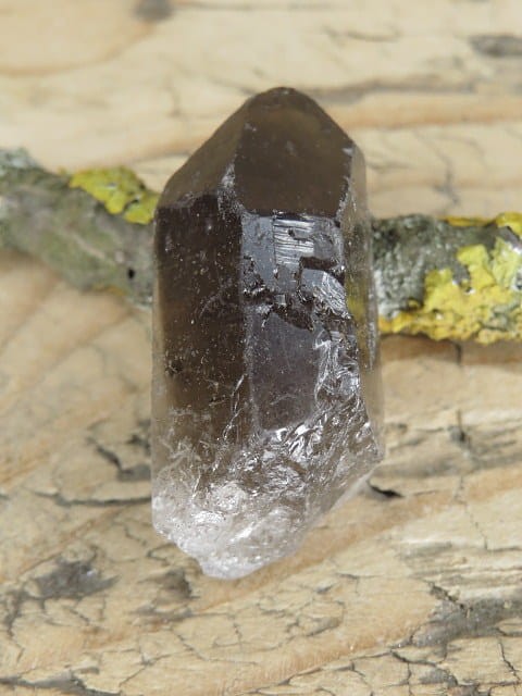 kwarc dymny kryształ * Brazylia