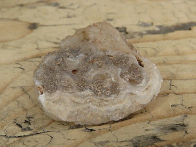 agat z geodą Brazylia