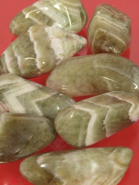 prazjolit