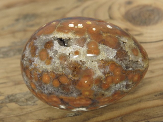 jaspis orbikularny * jajo, jajko