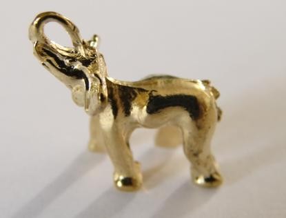 słonik * kieszonkowy 