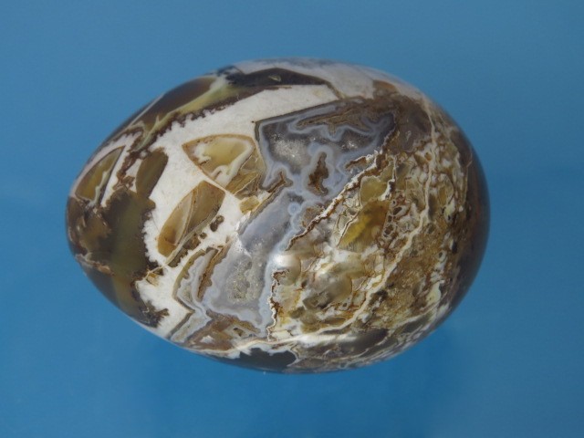 brekcja * jajko, jajo