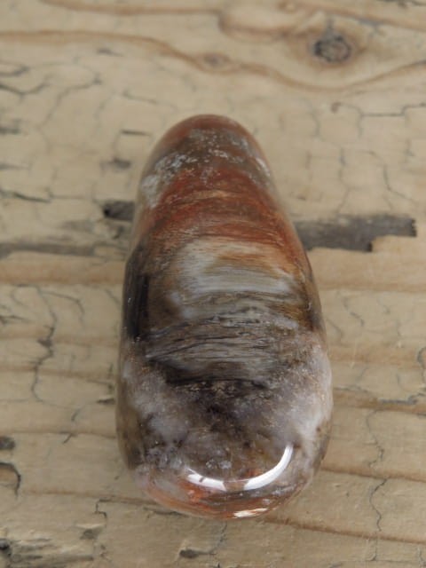 skamieniałe drewno * Madagaskar