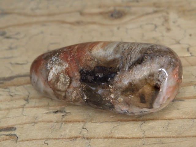 skamieniałe drewno * Madagaskar