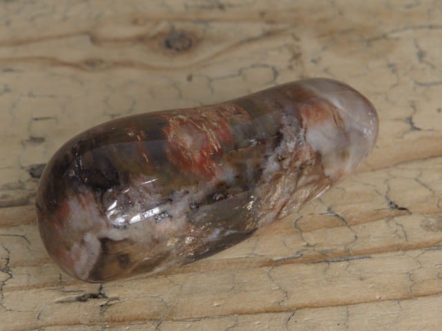 skamieniałe drewno * Madagaskar