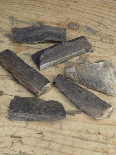 skamieniałe drewno * Polska