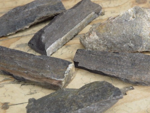 skamieniałe drewno * Polska