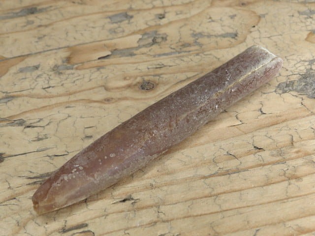belemnit - rostrum