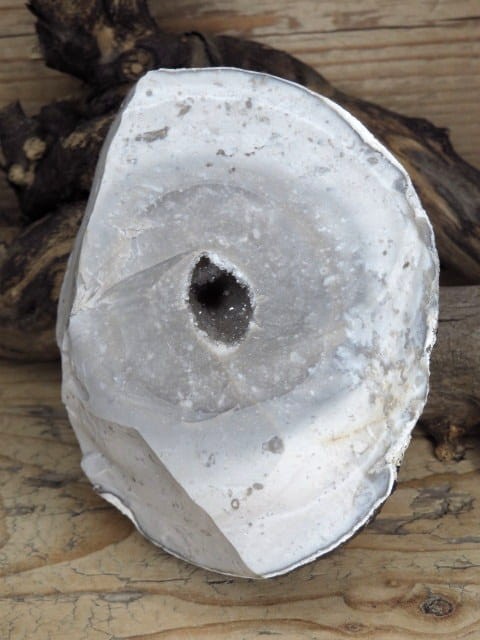 krzemień z geodą i kryształami kwarcu * konkrecja - buła * Polska