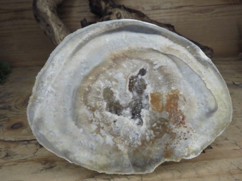 krzemień z geodą i kryształami kwarcu * konkrecja - buła * Polska