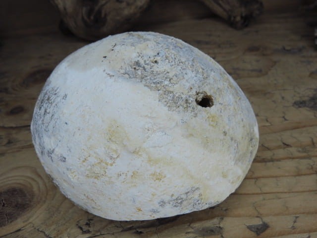 krzemień z geodą i kryształami kwarcu * konkrecja - buła * Polska