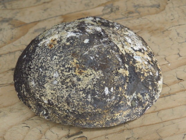 krzemień z geodą i kryształami kwarcu * konkrecja - buła * Polska