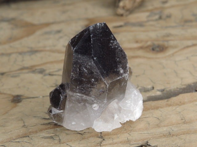 kwarc dymny kryształ * Brazylia