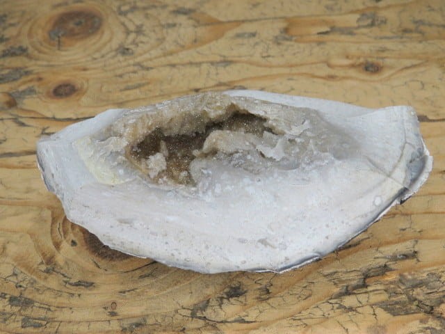 krzemień z geodą i kryształami kwarcu * konkrecja - buła * Polska