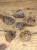 granat * Czechy