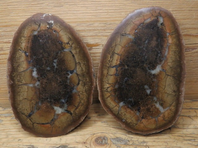 septaria sferosyderyt * syderyt ilasty * Polska - para