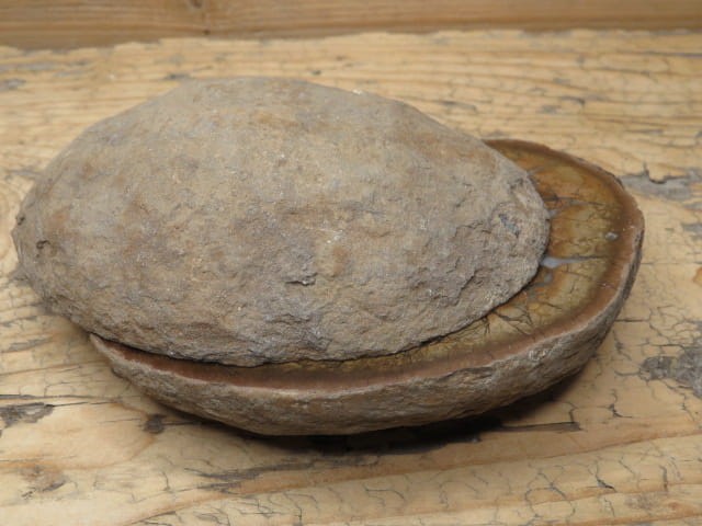 septaria sferosyderyt * syderyt ilasty * Polska - para