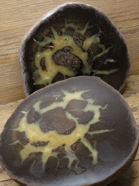 septaria sferosyderyt * syderyt ilasty * Polska - para