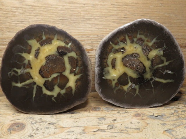 septaria sferosyderyt * syderyt ilasty * Polska - para