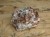 granat w skale kwarcowo-skaleniowej * Namibia